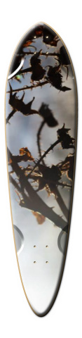 Design 17816 Skateboards, Longboards and Grip Tape