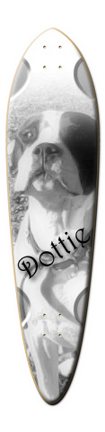 board Skateboards, Longboards and Grip Tape Image
