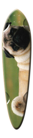 Design 15968 Skateboards, Longboards and Grip Tape
