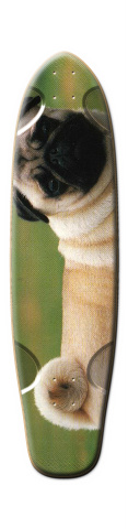 Design 15967 Skateboards, Longboards and Grip Tape