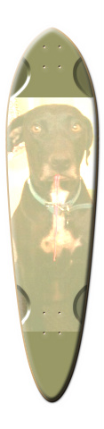 Design 18730 Skateboards, Longboards and Grip Tape Image