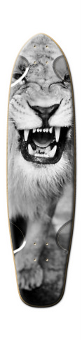Design 18930 Skateboards, Longboards and Grip Tape