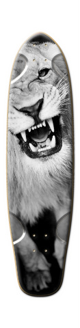 Design 18934 Skateboards, Longboards and Grip Tape