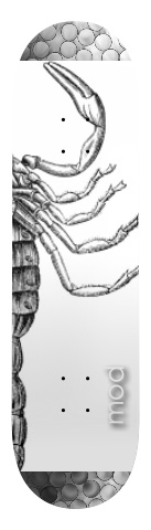 Design 23149 Skateboards, Longboards and Grip Tape Image