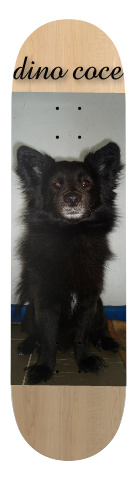 Design 23108 Skateboards, Longboards and Grip Tape Image