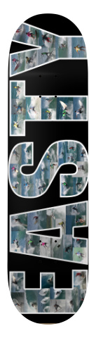 Design 20419 Skateboards, Longboards and Grip Tape Image