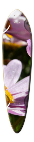 Design 20741 Skateboards, Longboards and Grip Tape Image