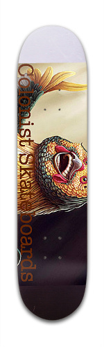 Design 52681 Skateboards, Longboards and Grip Tape