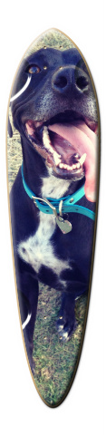 Design 53679 Skateboards, Longboards and Grip Tape Image