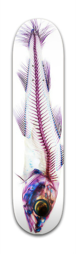 Design 47857 Skateboards, Longboards and Grip Tape Image