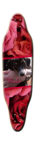 my dog balu Skateboards, Longboards and Grip Tape Image