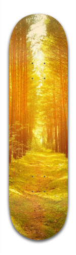 Design 48845 Skateboards, Longboards and Grip Tape Image