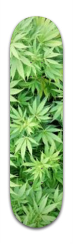 WeedBoard