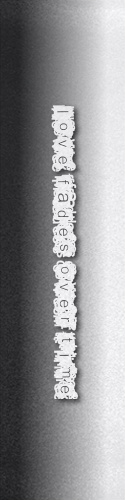 Design 119559