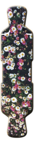 Design 119813