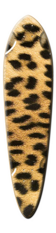 Design 120216 Skateboards, Longboards and Grip Tape Image