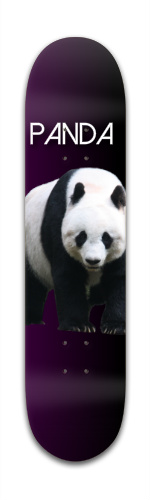 Design 123018 Skateboards, Longboards and Grip Tape