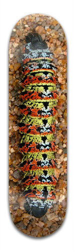 Design 116932