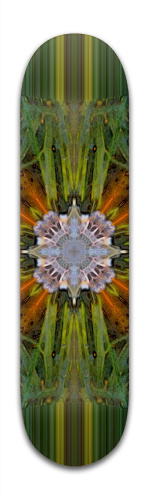 Design 126300 Skateboards, Longboards and Grip Tape