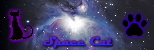 Design 127459 Skateboards, Longboards and Grip Tape Image