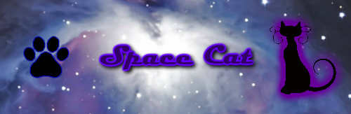 Design 127451 Skateboards, Longboards and Grip Tape Image