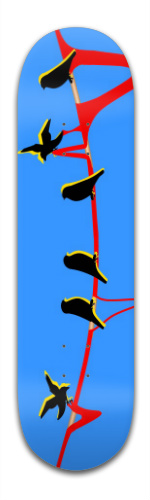 Design 131239 Skateboards, Longboards and Grip Tape