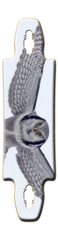 Design 125784 Skateboards, Longboards and Grip Tape Image