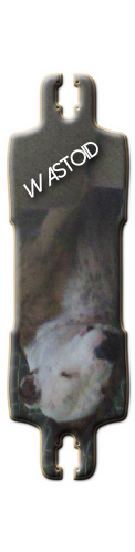 Design 126070 Skateboards, Longboards and Grip Tape