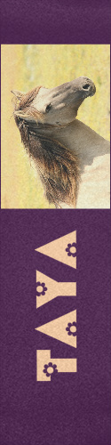 Design 140683
