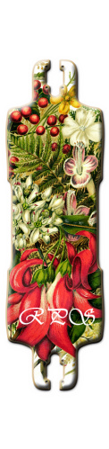 Design 141813 Skateboards, Longboards and Grip Tape Image
