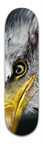 EAGLE