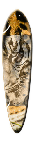 Design 144020 Skateboards, Longboards and Grip Tape