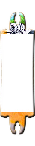 Design 144515