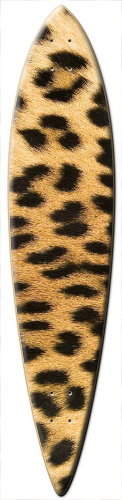 Design 134834