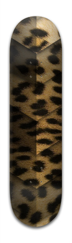 Design 145061 Skateboards, Longboards and Grip Tape Image
