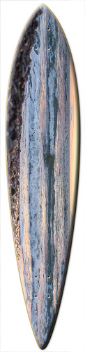 Design 145373