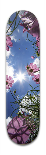 Design 145289