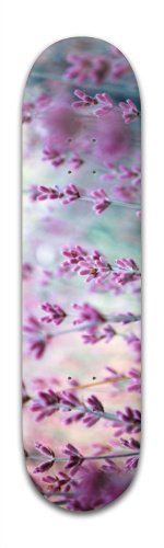 Design 145292