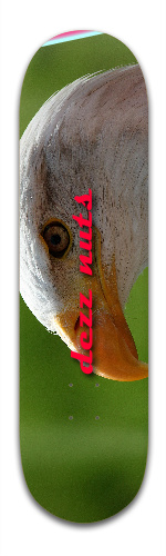 Design 146111 Skateboards, Longboards and Grip Tape Image