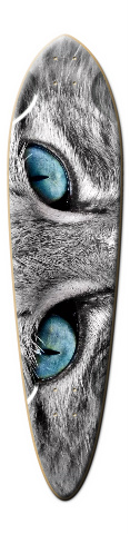 Kitty board