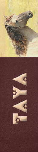 Design 138102