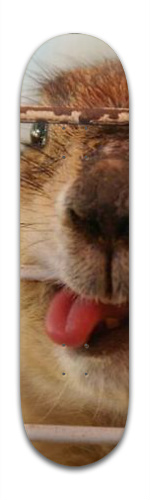 Design 137896 Skateboards, Longboards and Grip Tape Image