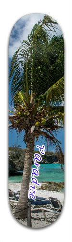 Design 138790 Skateboards, Longboards and Grip Tape