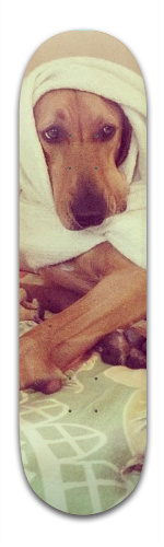 Pigeon Board Skateboards, Longboards and Grip Tape Image