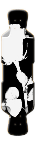 Black rose Skateboards, Longboards and Grip Tape Image