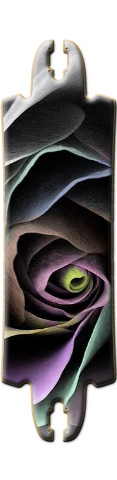 A Rose by Any Other Name