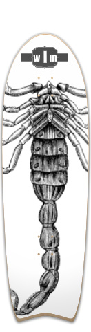 Design 63901 Skateboards, Longboards and Grip Tape Image