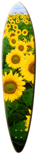 Design 63994