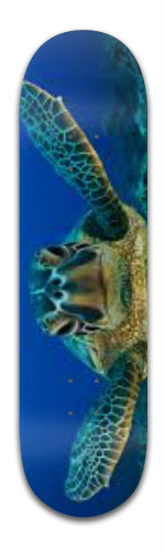 Design 65355