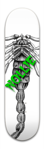 Design 61518 Skateboards, Longboards and Grip Tape Image